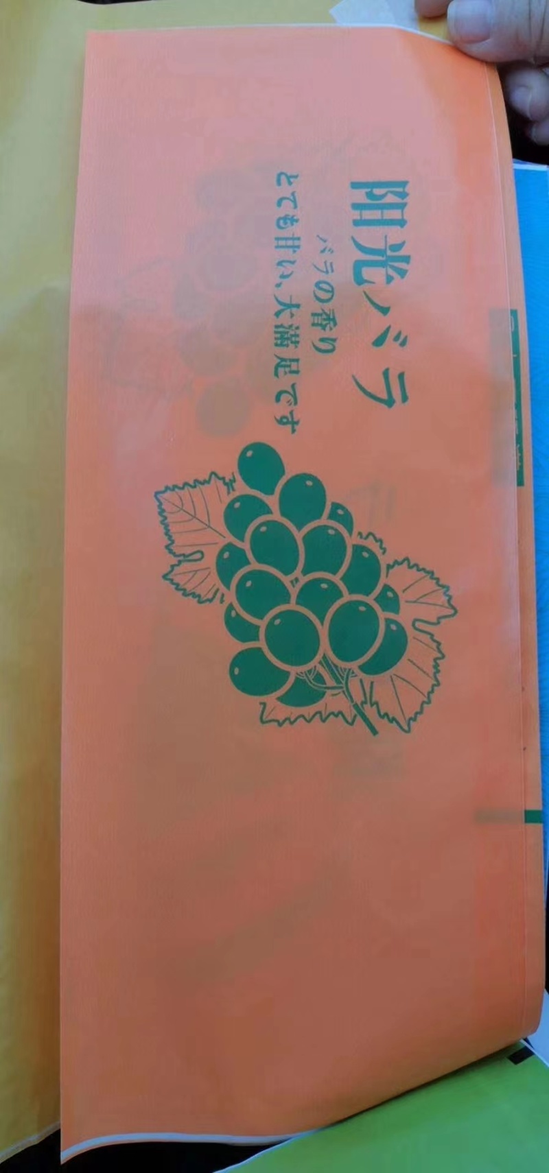 河北阳光玫瑰葡萄套袋，厂家货源，价格优惠，欢迎来电咨询