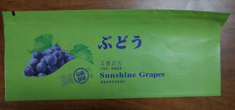 河北阳光玫瑰葡萄套袋，厂家货源，价格优惠，欢迎来电咨询