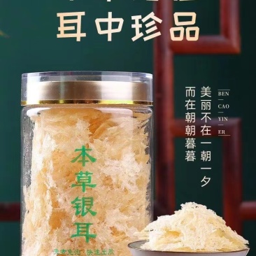 本草银耳免煮免泡金丝草本银耳破壁出胶快80克罐装批发