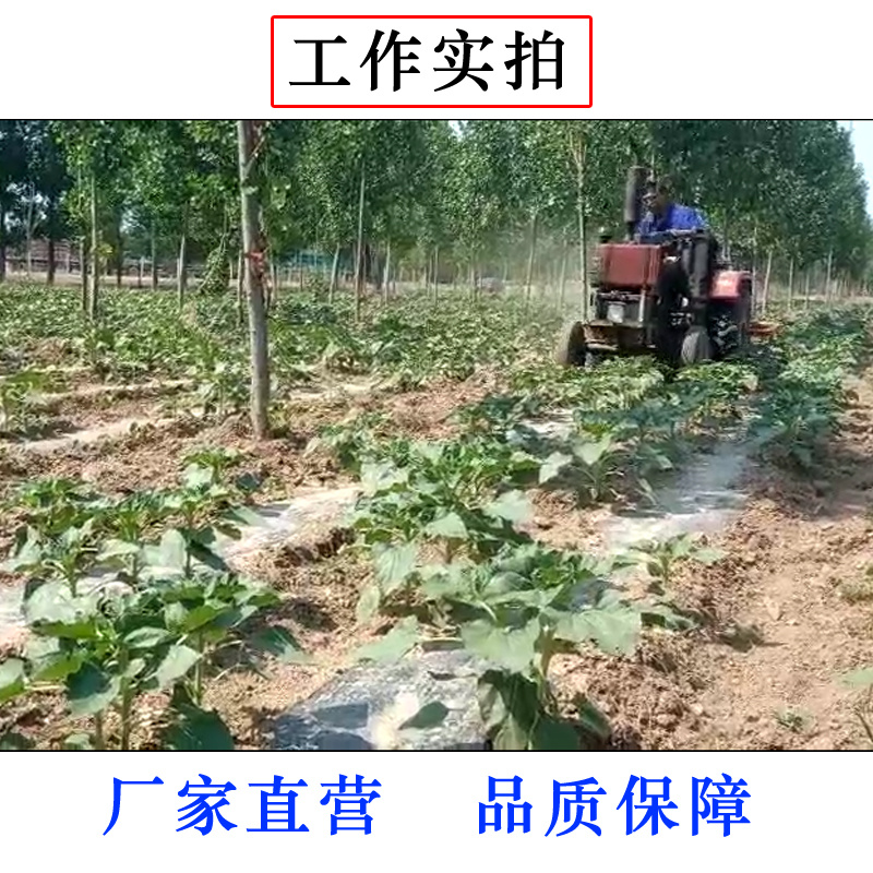 中耕犁拖拉机带中耕机除草犁