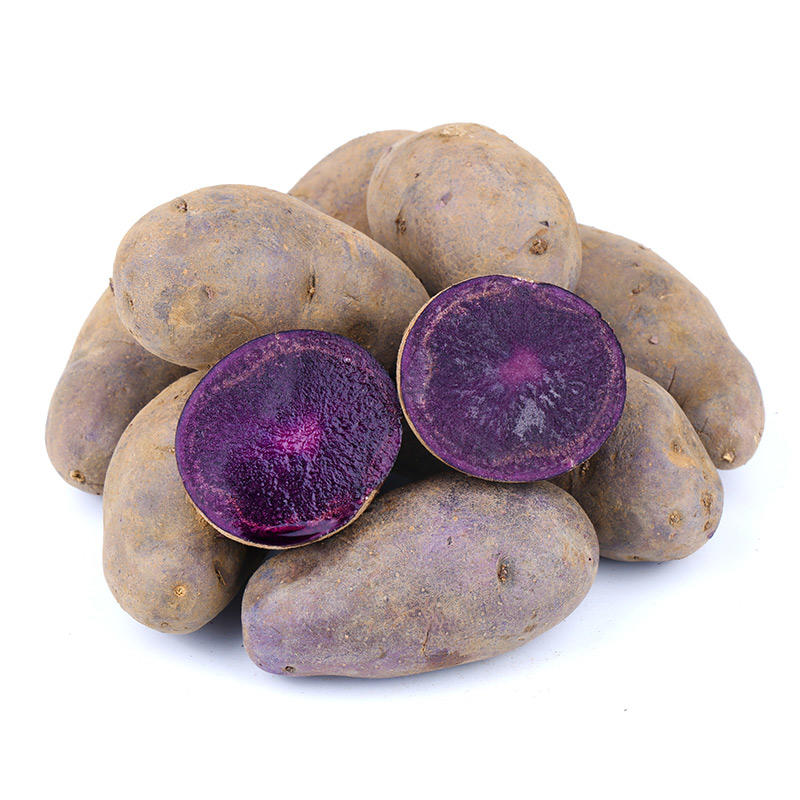 山东黑土豆5斤乌洋芋马铃薯黑金刚产地直供紫土豆一件代发