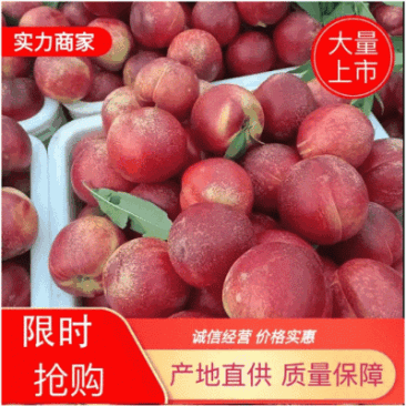 四号油桃，个大，色好，口感好，产地直供，耐运输