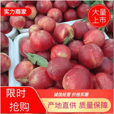四号油桃，个大，色好，口感好，产地直供，耐运输