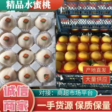 白凤桃各品种精品水蜜桃品种多大量现货，产区面积大供应足