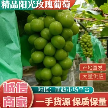 阳光玫瑰串型好，果粒饱满，万亩基地，原产地货源，口感纯正