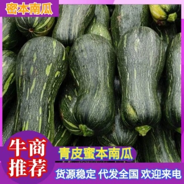 新野县青皮南瓜，陆续上市，可供商超和电商
