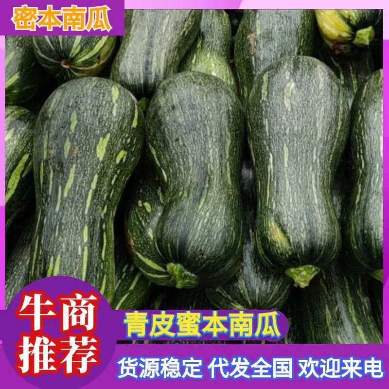 新野县青皮南瓜，陆续上市，可供商超和电商