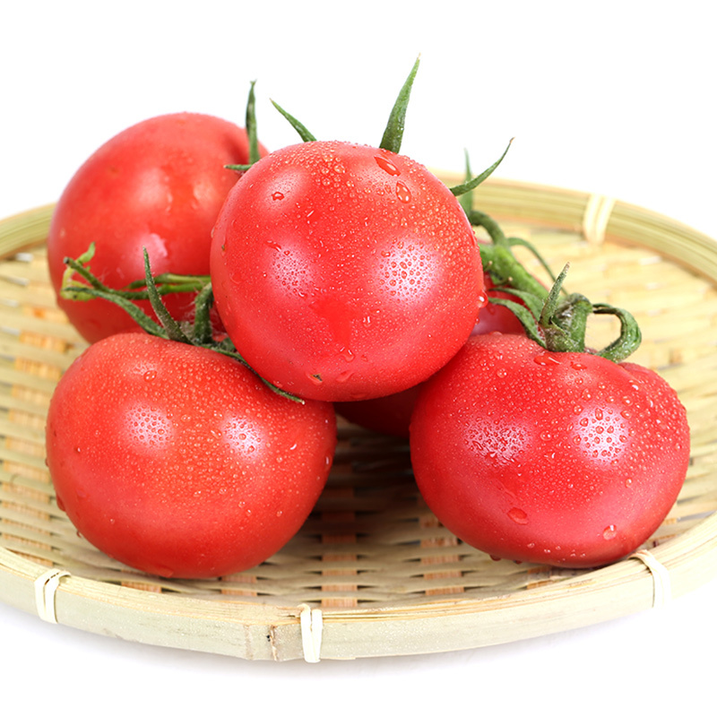 山东普罗旺斯西红柿5斤新鲜生吃水果番茄柿子蔬菜一件代发