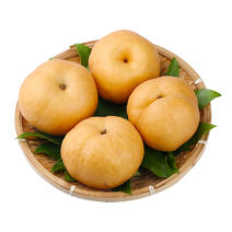 山东南水梨4.5斤当季脆甜水果冰糖莱阳梨炖梨梨子一件代发