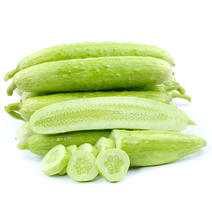 山东白玉黄瓜5斤当季蔬菜水果生吃白黄瓜脆嫩小黄瓜一件