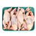 河南鹌鹑10只母鹌鹑肉白条现杀活体红烧烧烤生骨肉一件代发