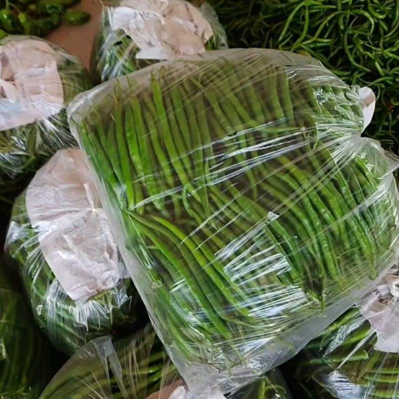 精品线椒河南辣椒螺丝椒品质保障新鲜发货品质好专业代收代发