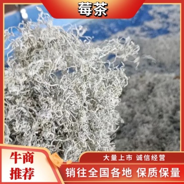 永顺【莓茶】精品藤茶入口甘甜回味无穷品种纯正欢迎抢购