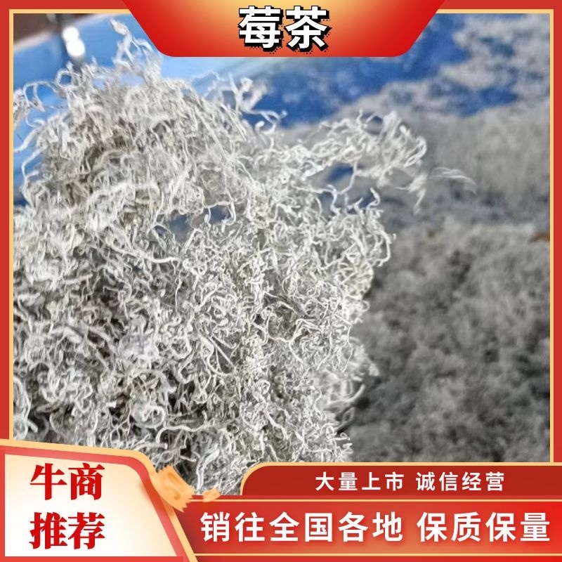 永顺【莓茶】精品藤茶入口甘甜回味无穷品种纯正欢迎抢购