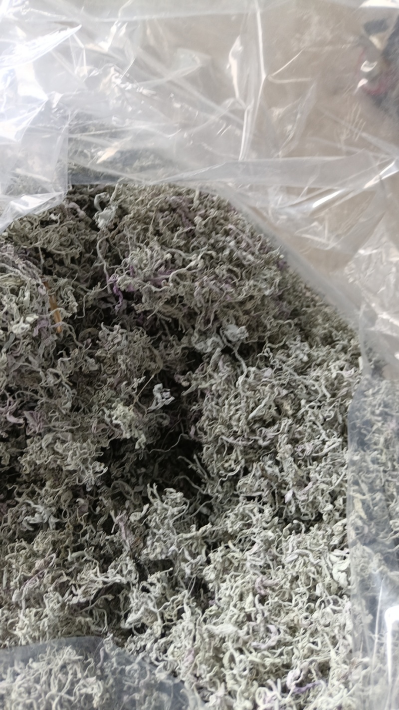 永顺【莓茶】精品藤茶入口甘甜回味无穷品种纯正欢迎抢购