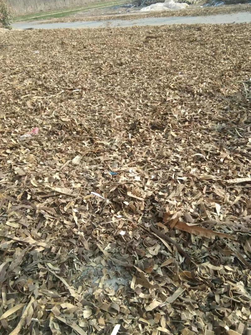 秦皮中药材树皮秦皮品质好价格不贵电话联系药材商