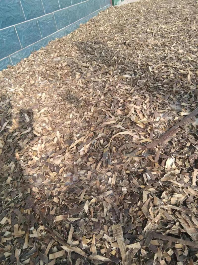 秦皮中药材树皮秦皮品质好价格不贵电话联系药材商