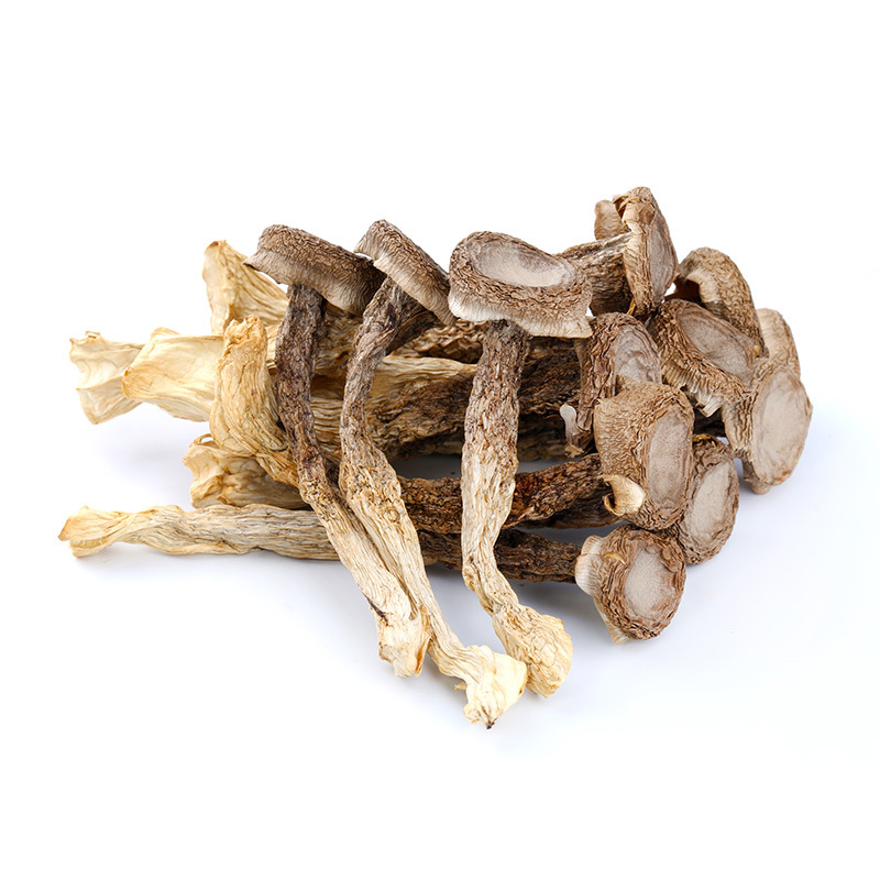 福建鹿茸菇干货500g鹿茸菌煲汤菌菇野蘑菇香菇一件代发