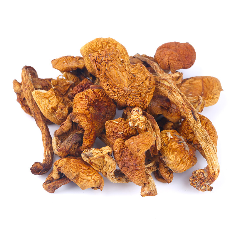 黑龙江滑子菇干货500g滑菇菌菇无根蘑菇煲汤材料一件代发