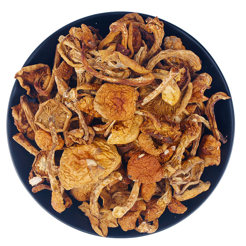 黑龙江滑子菇干货500g滑菇菌菇无根蘑菇煲汤材料一件代发