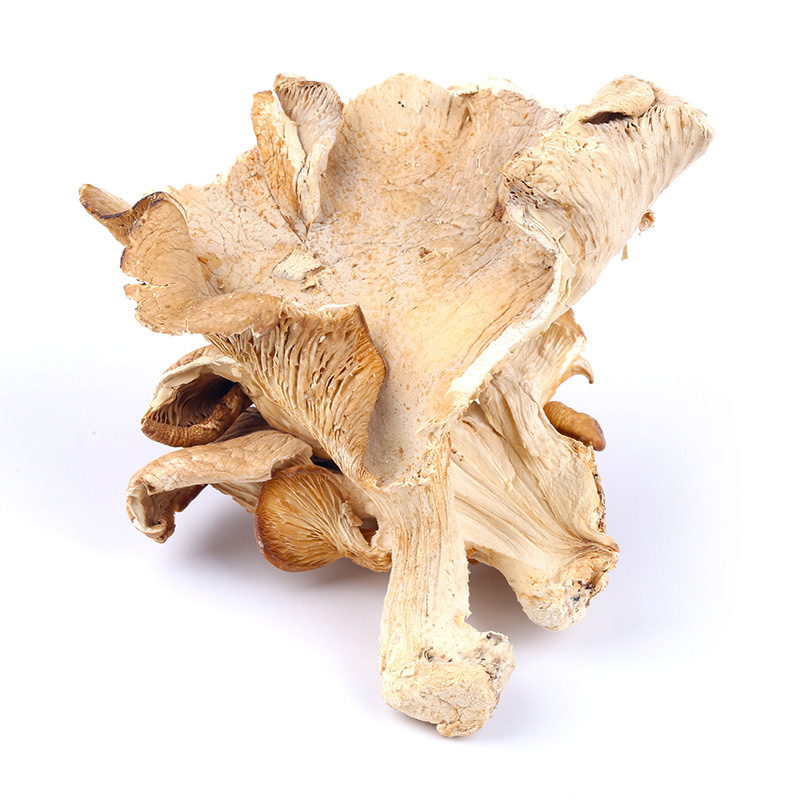 河南平菇干货500g农家食用菌菇新鲜白平菇蘑菇干一件代发