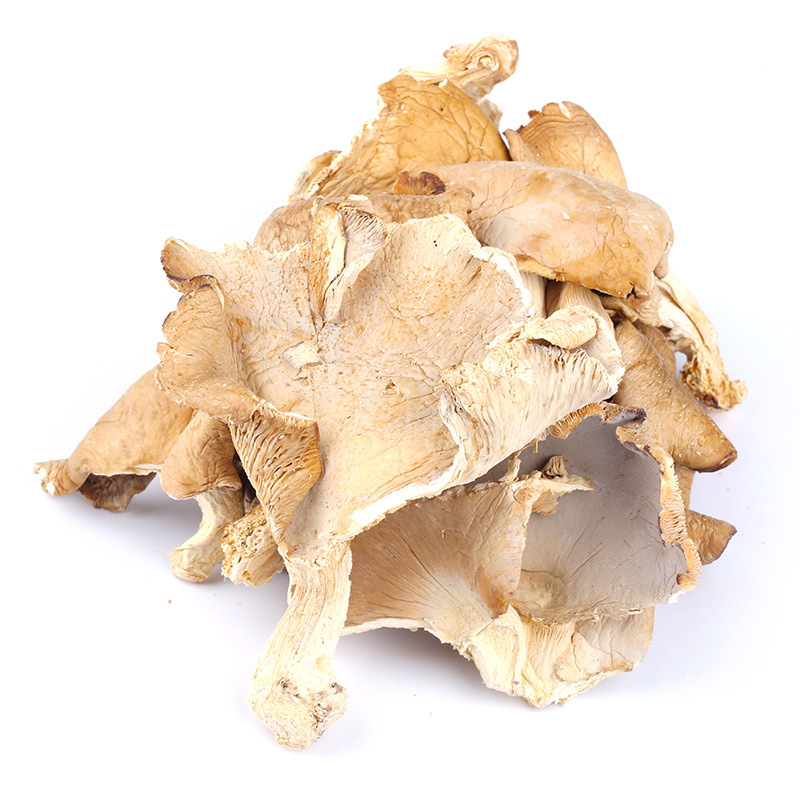 河南平菇干货500g农家食用菌菇新鲜白平菇蘑菇干一件代发