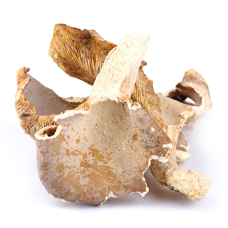 河南平菇干货500g农家食用菌菇新鲜白平菇蘑菇干一件代发