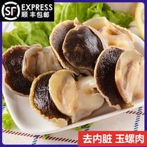 新鲜冷冻玉螺肉去内脏深海水产贝类海螺肉海螺肉商用批发