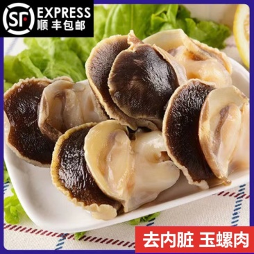 新鲜冷冻玉螺肉去内脏深海水产贝类海螺肉海螺肉商用批发