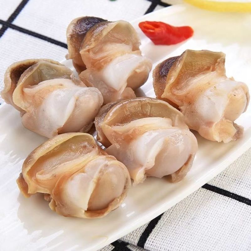 新鲜冷冻玉螺肉去内脏深海水产贝类海螺肉海螺肉商用批发