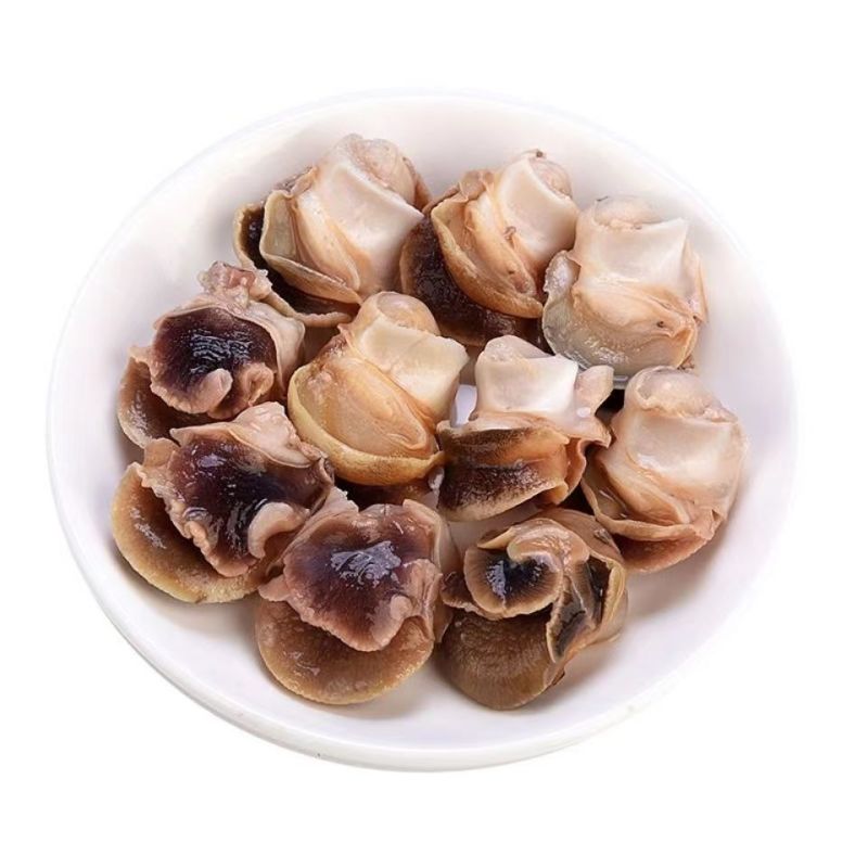 新鲜冷冻玉螺肉去内脏深海水产贝类海螺肉海螺肉商用批发
