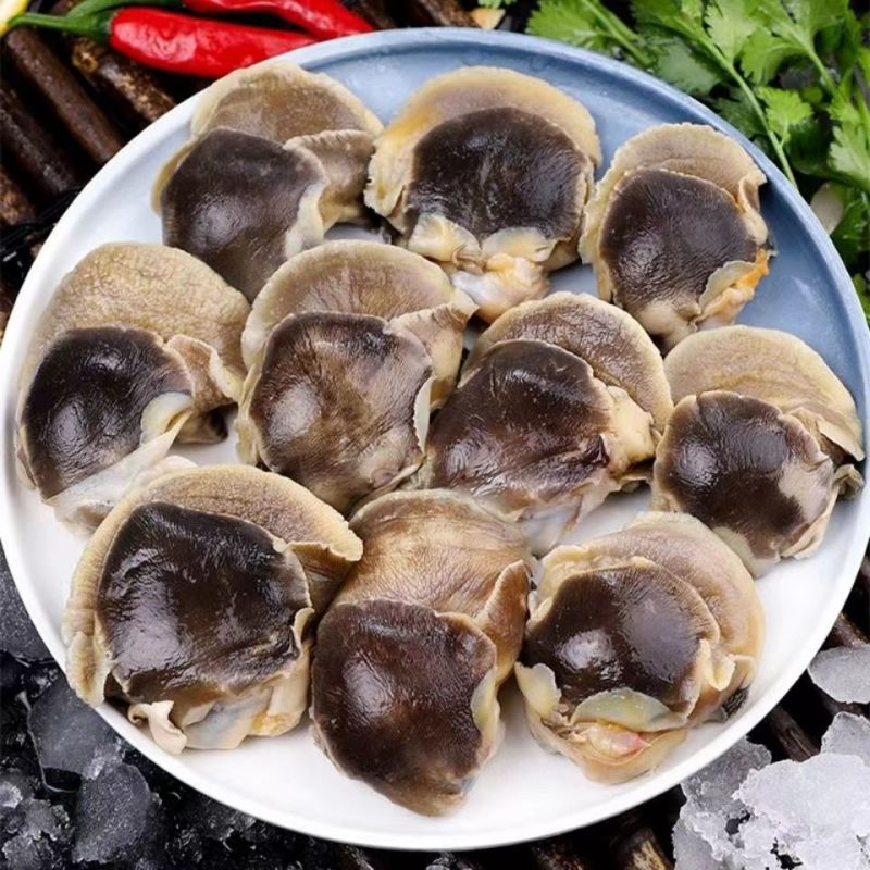新鲜冷冻玉螺肉去内脏深海水产贝类海螺肉海螺肉商用批发