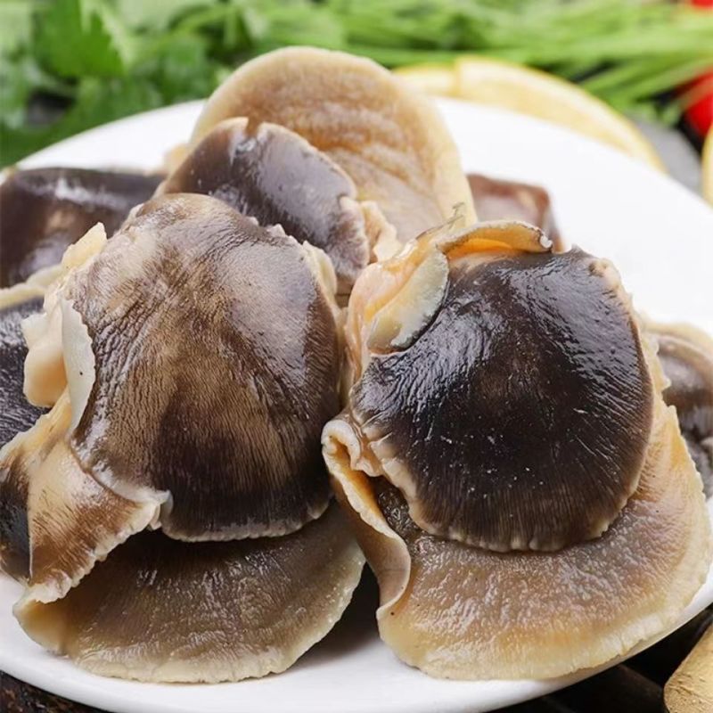 新鲜冷冻玉螺肉去内脏深海水产贝类海螺肉海螺肉商用批发