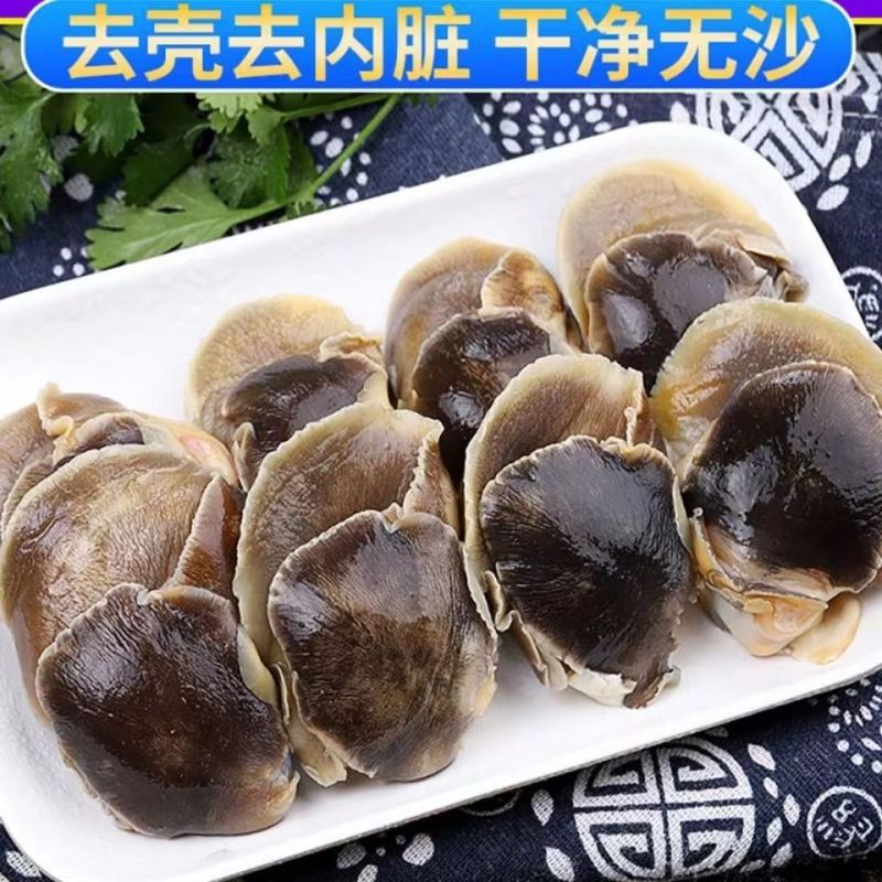 新鲜冷冻玉螺肉去内脏深海水产贝类海螺肉海螺肉商用批发