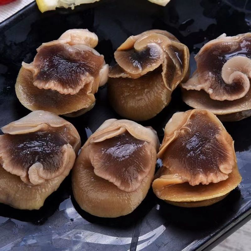 新鲜冷冻玉螺肉去内脏深海水产贝类海螺肉海螺肉商用批发