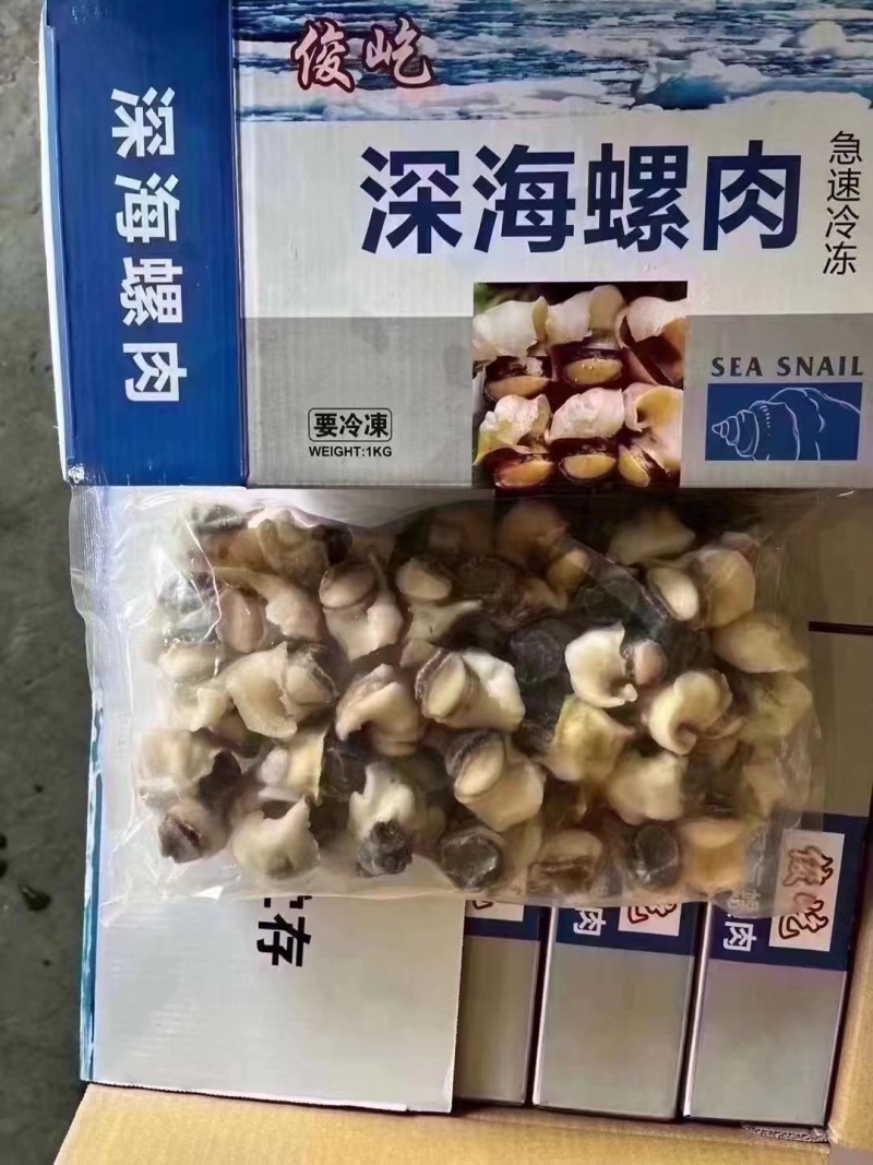 新鲜冷冻玉螺肉去内脏深海水产贝类海螺肉海螺肉商用批发