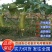 实力淮安精品油皮丝瓜现摘现发对接商超电商市场江苏产地