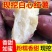 商薯19大上市！产地直发！2023年头茬当天采摘