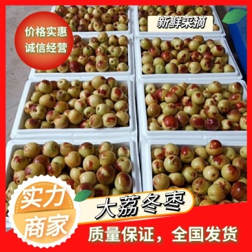 【实力】沾化冬枣，现摘现发货源充足，品质保证供应全国市场