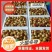 【实力】沾化冬枣，现摘现发货源充足，品质保证供应全国市场