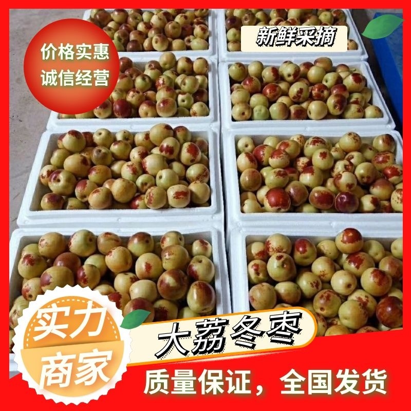 【实力】沾化冬枣，现摘现发货源充足，品质保证供应全国市场