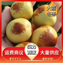 沾化冬枣，冬枣基地直供，供应全国电商，市场，一件代发