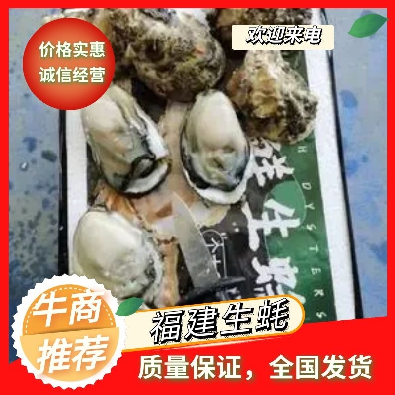 福建一口生蚝，网红小包装，承接电商社区团购