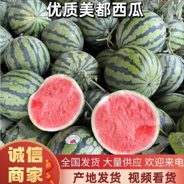 美都西瓜，质量好，个头大，一手货源，产地直销。欢迎老板咨
