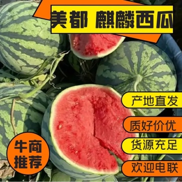山西麒麟西瓜大量上市品质保证一手货源量大从优