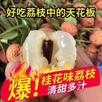 广西荔枝桂味鸡嘴禾荔大量现货产地直销