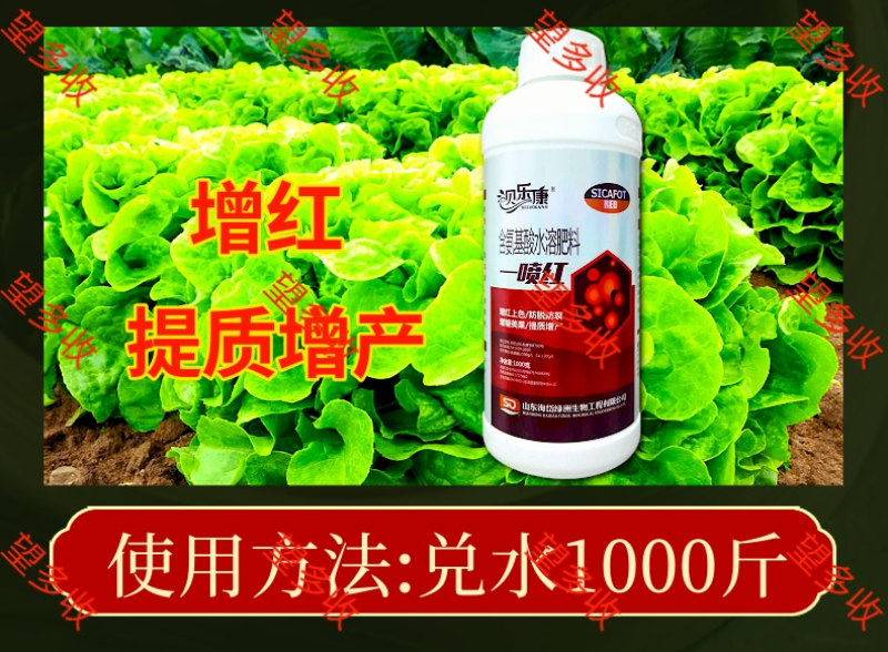 一喷红增甜上色防脱防裂增甜美果番茄草莓苹果辣椒柑橘上色剂