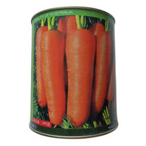 特选新黑田五寸胡萝卜种子中早熟胡萝卜种子高产300克