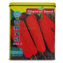 奇新宝冠胡萝卜种子大田基地高产七寸参红胡萝卜种子耐糠