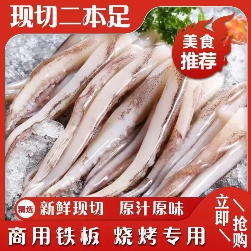 现切二本足鱿鱼须串新鲜冷冻鱿鱼头商用批发烧烤铁板海鲜水产